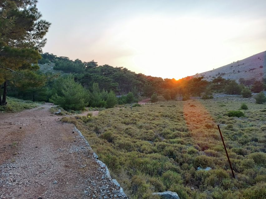 Chios: Private Sunset Hiking Tour to Lithi Beach - Frequently Asked Questions