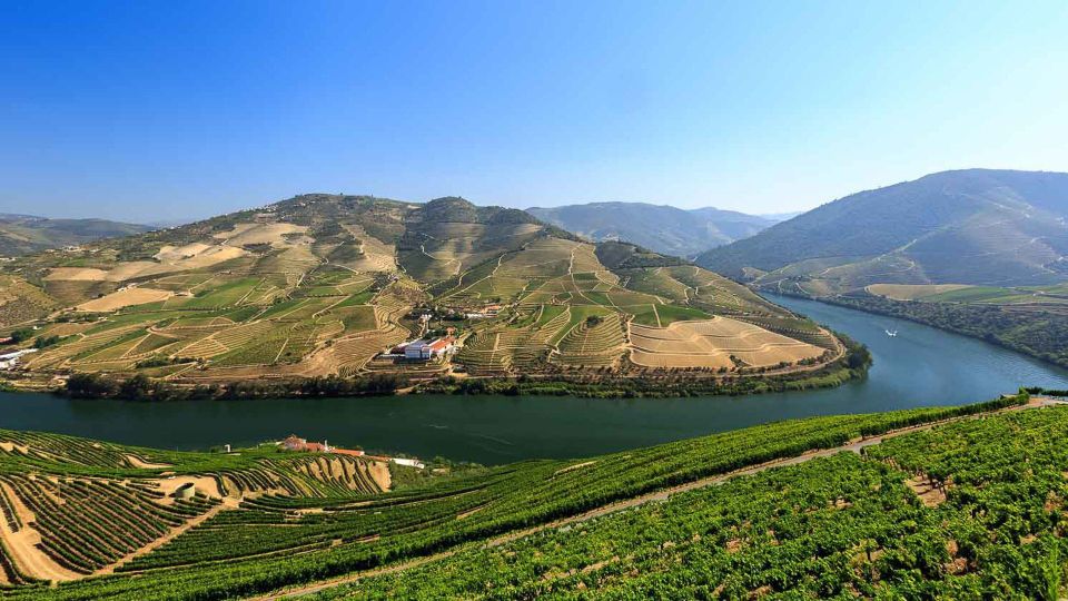 Complete Douro Valley Tour - Visit to 3 Wineries & Lunch - Recap