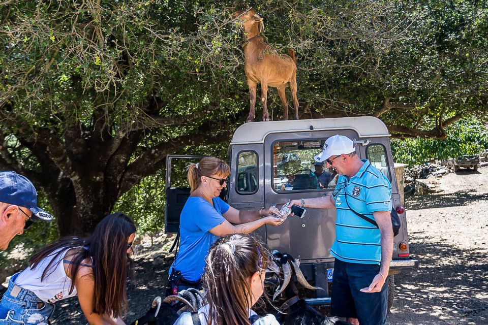 Crete: Land Rover Safari on Minoan Route - Frequently Asked Questions