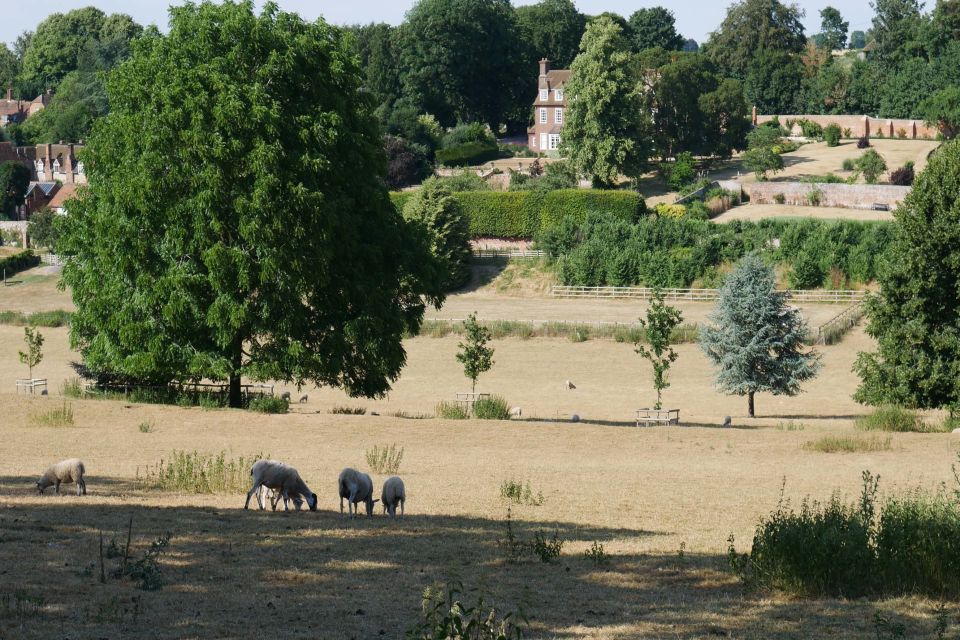 Day-Tour of the Midsomer Murders Locations - Frequently Asked Questions