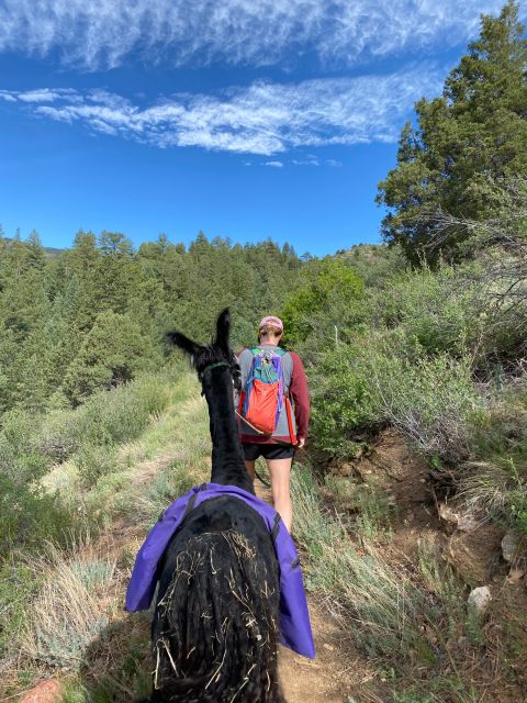 Denver: Llama Hike in the Rocky Mountains - Frequently Asked Questions