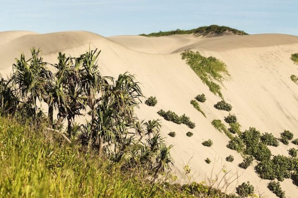 Discover Fijian Culture and Reptiles - Frequently Asked Questions