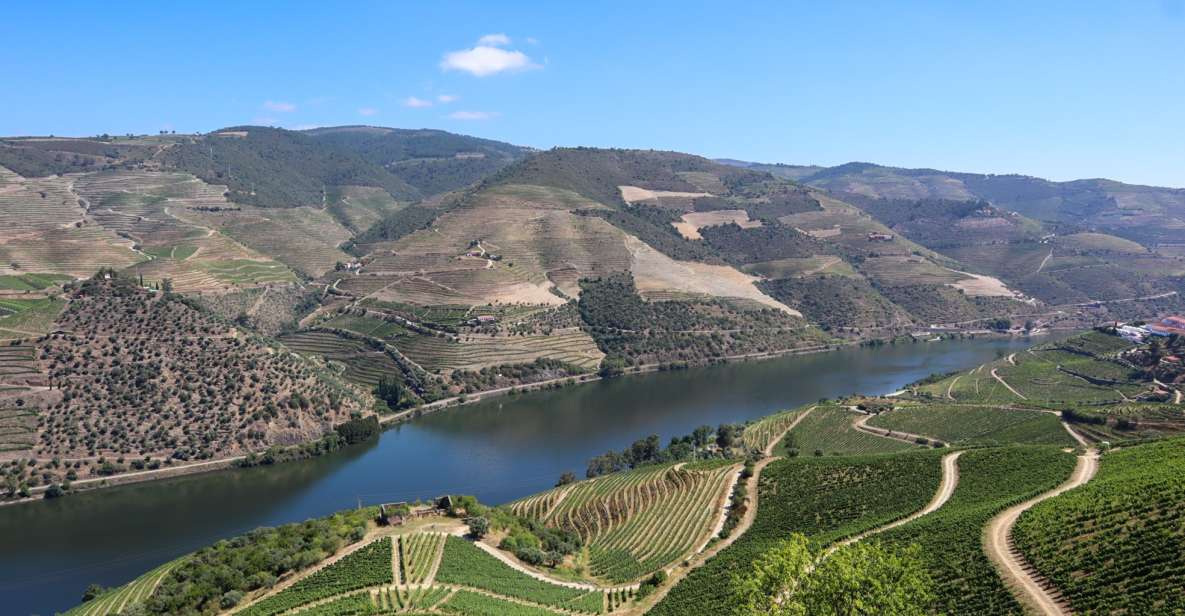 Douro Valley: Douro Valley Tour Including 3 Wineries - Frequently Asked Questions