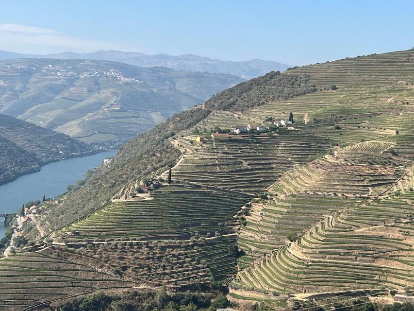 Douro Valley:Expert Wine Guide,Boat, Wine, Olive Oil & Lunch - Recap