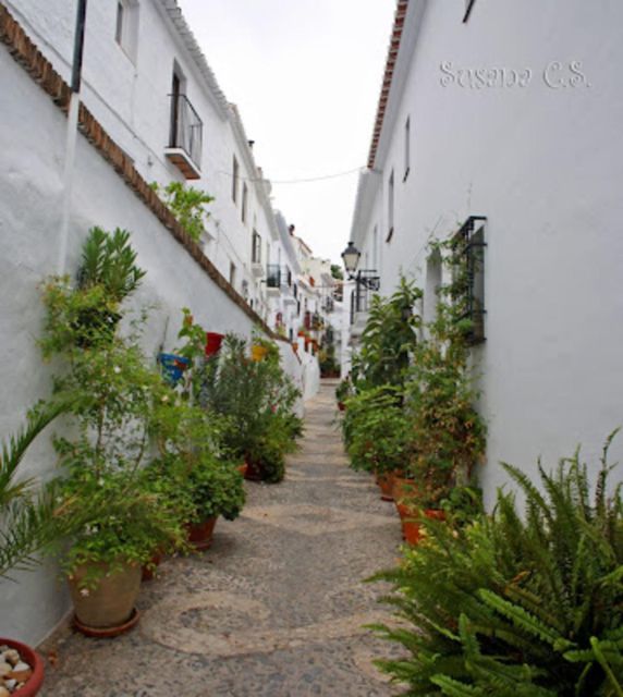 Excursion From Malaga to Nerja and Frigiliana - Things To Known