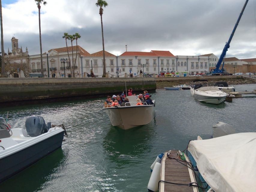 Faro: Dolphin and Marine Life Watching Boat Tour - Frequently Asked Questions