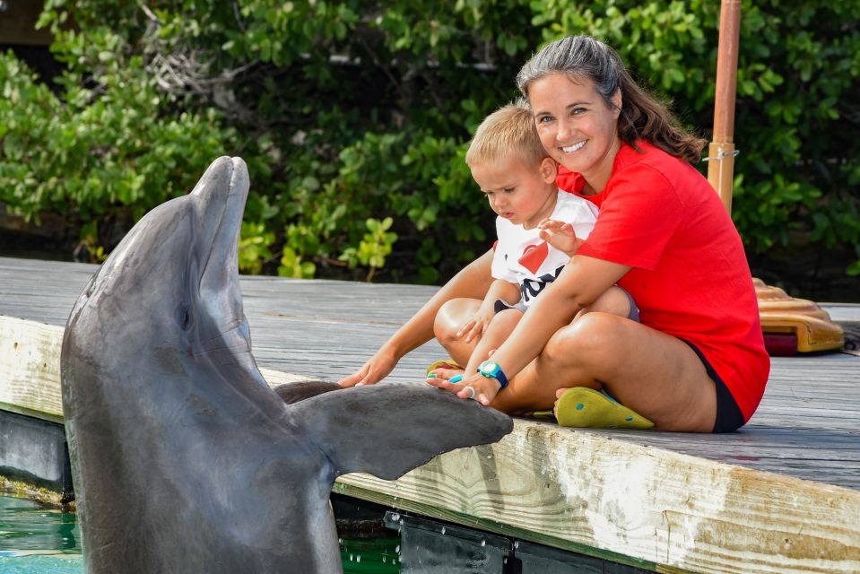 Florida Keys: Dockside Dolphin Experience - Frequently Asked Questions