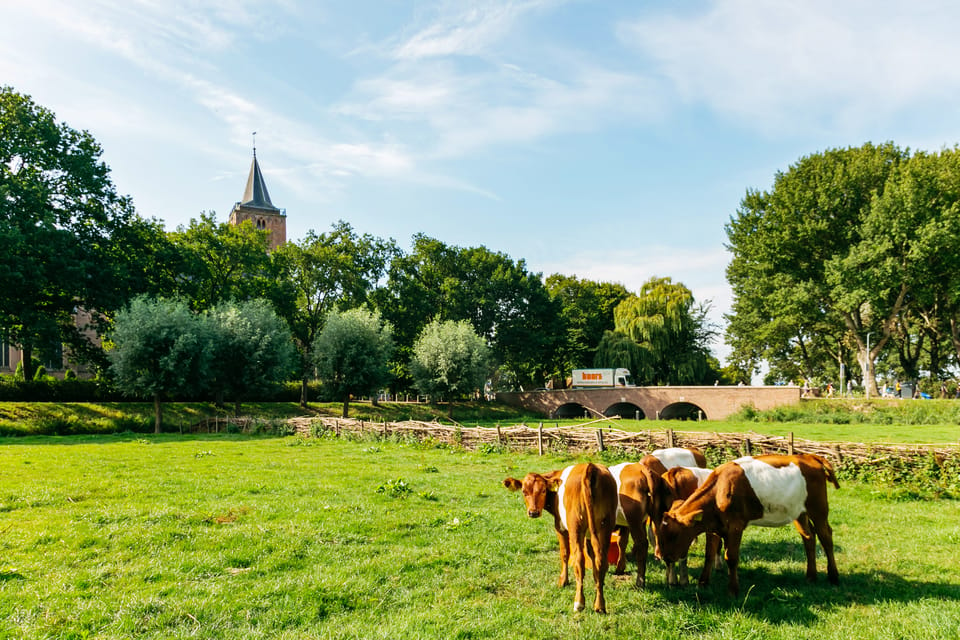 From Amsterdam: Zaanse Schans, Edam, & Marken Full-Day Trip - Frequently Asked Questions