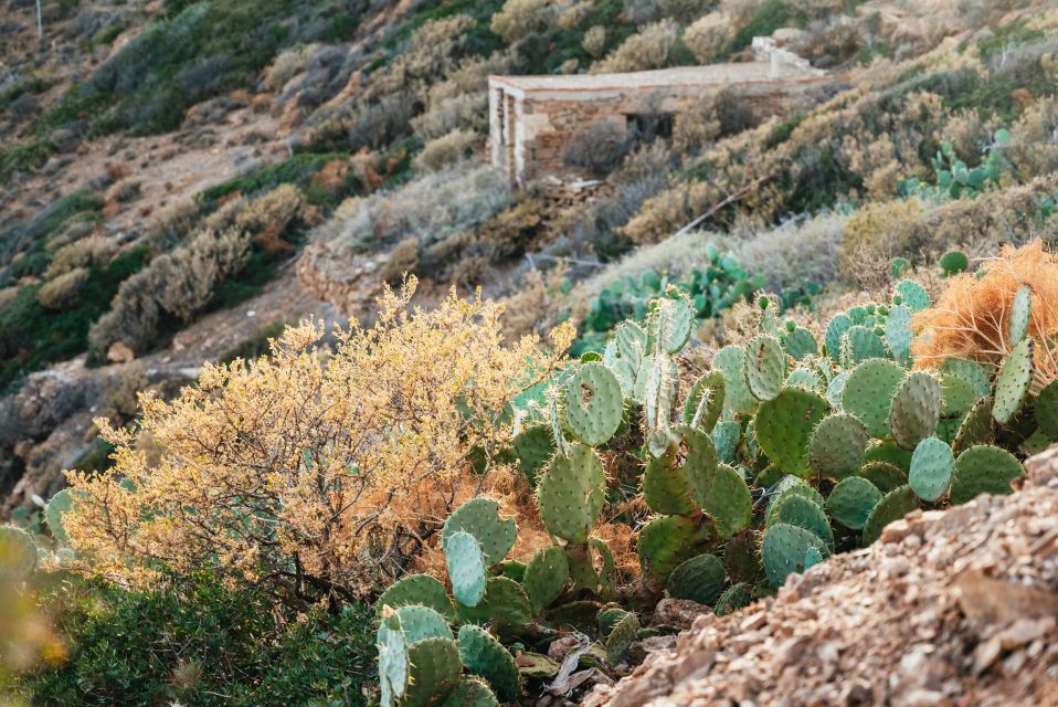 From Athens: Cape Sounion & Temple of Poseidon Half Day Tour - Frequently Asked Questions