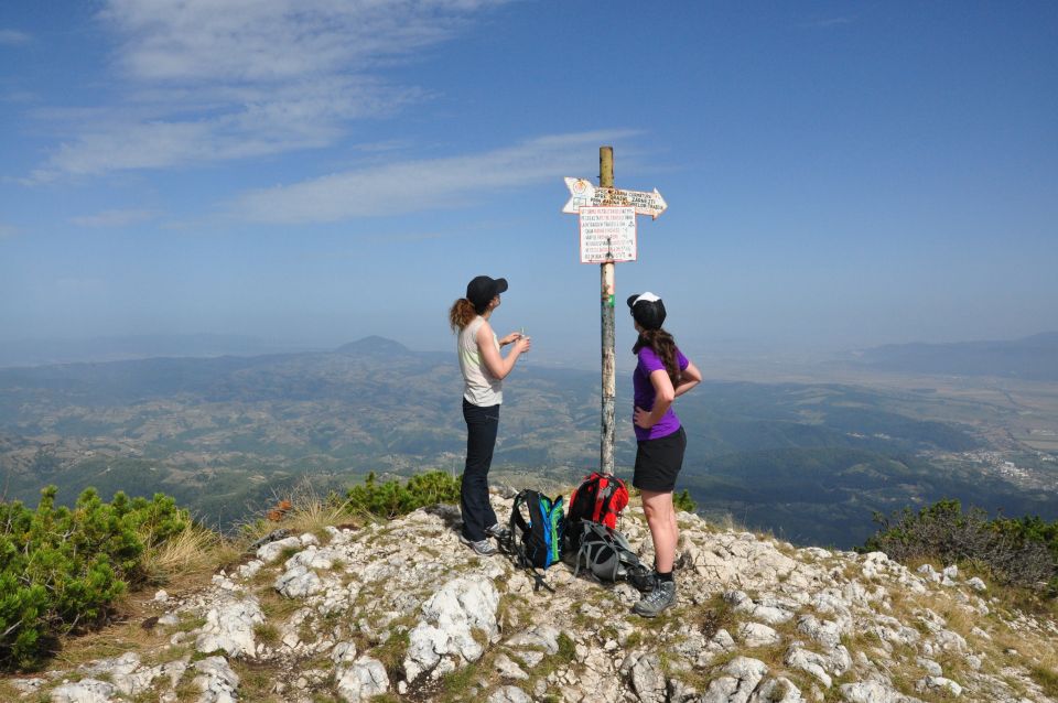 From Brasov: Piatra Craiului National Park Private Day Tour - Frequently Asked Questions