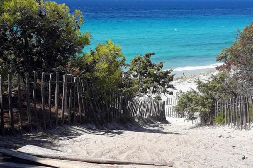 From Calvi: 4x4 Day Tour Mountain & Agriates Saleccia Beach - Frequently Asked Questions