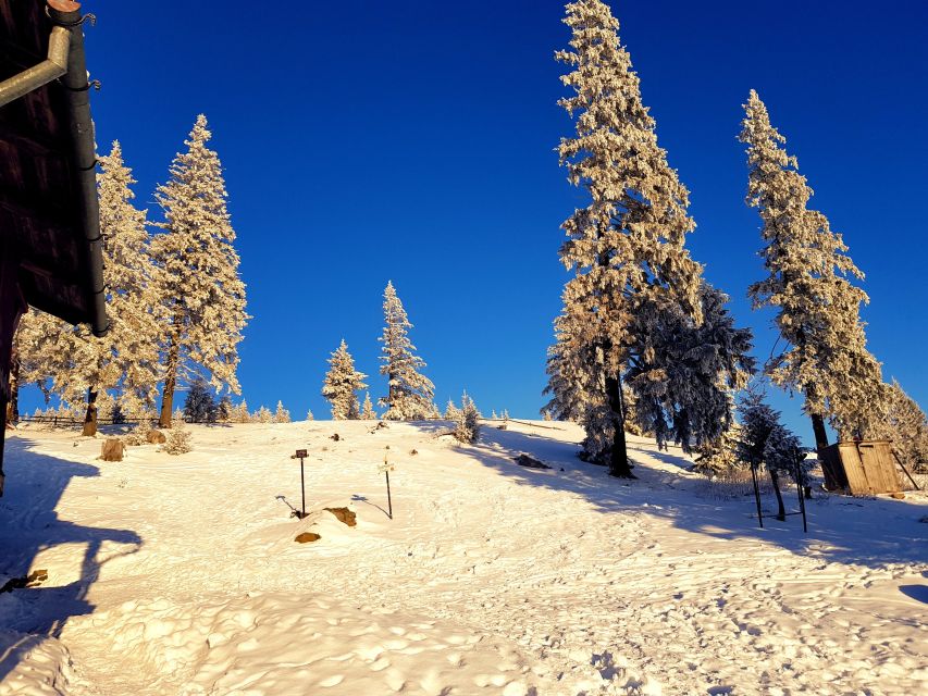 From Cluj-Napoca: Day Hike to Vlădeasa Peak - Frequently Asked Questions