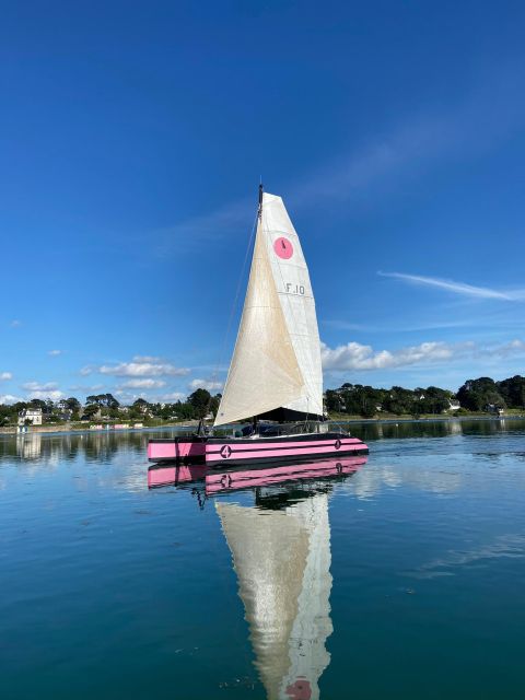 From Concarneau or Port La Foret: 2 Hours of Evening Navigation - Recap