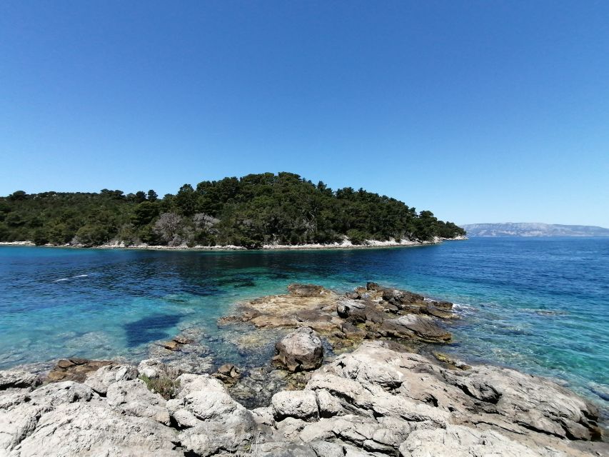 From Dubrovnik: Mljet National Park & Elaphiti Islands Trip - Frequently Asked Questions