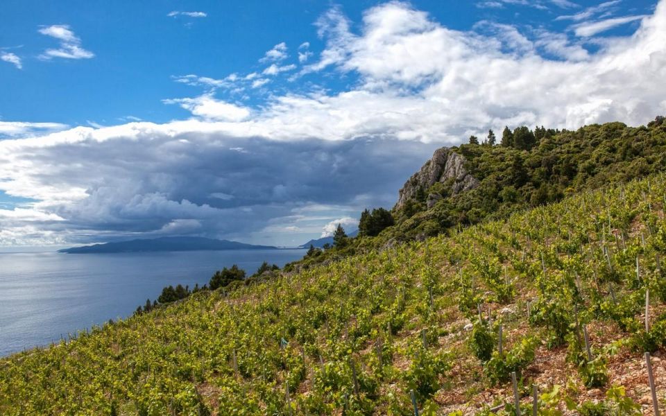 From Dubrovnik Private Wine Tasting Tour - Frequently Asked Questions