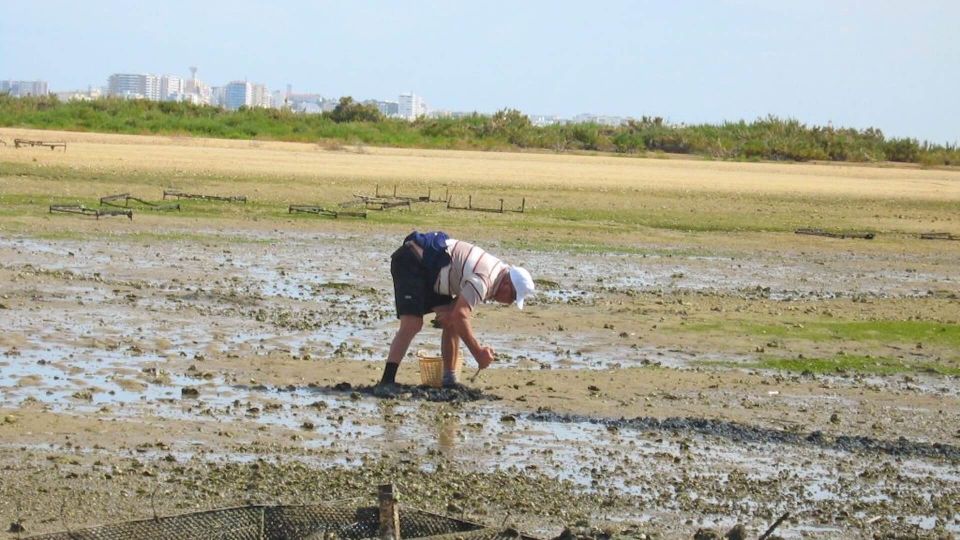 From Faro: Ria Formosa Eco-friendly Solar Boat Tour - Frequently Asked Questions