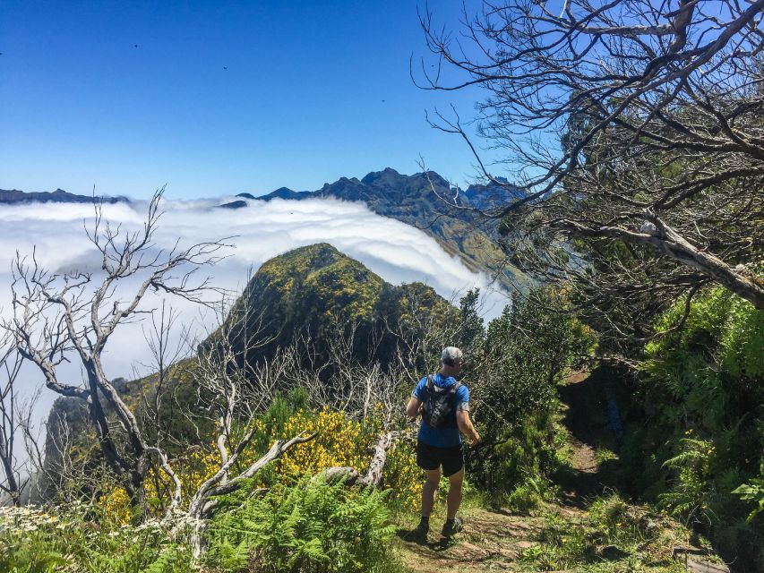 From Funchal: Folhadal Trail Running Tour (Moderate) - Frequently Asked Questions