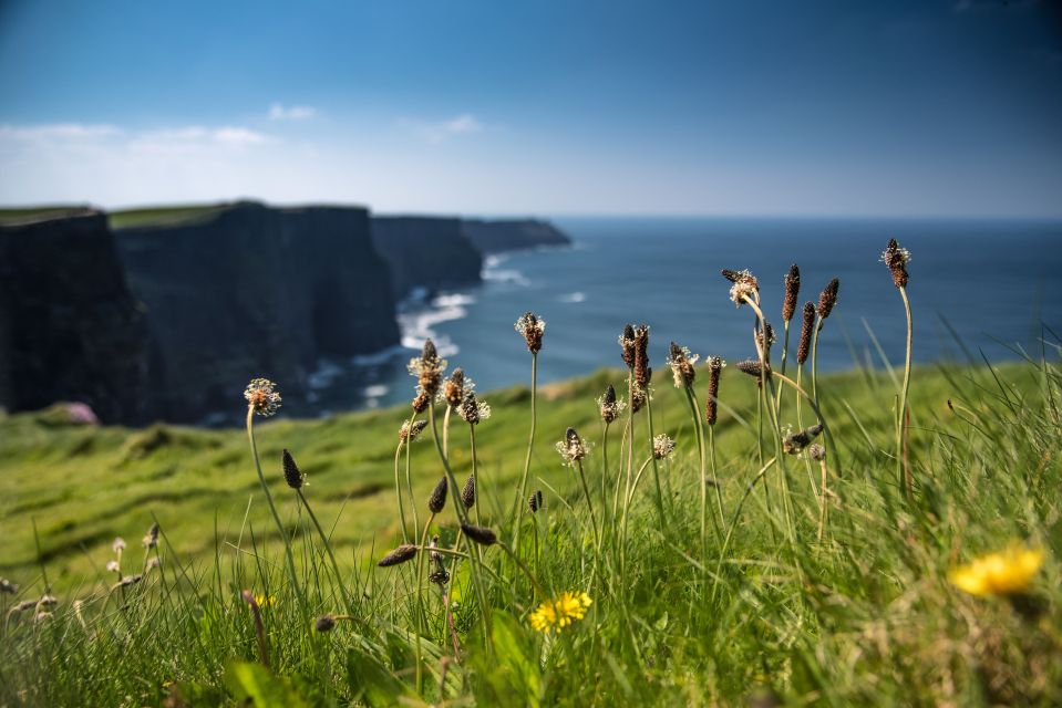 From Galway: Cliffs of Moher and The Burren Full Day Tour - Frequently Asked Questions