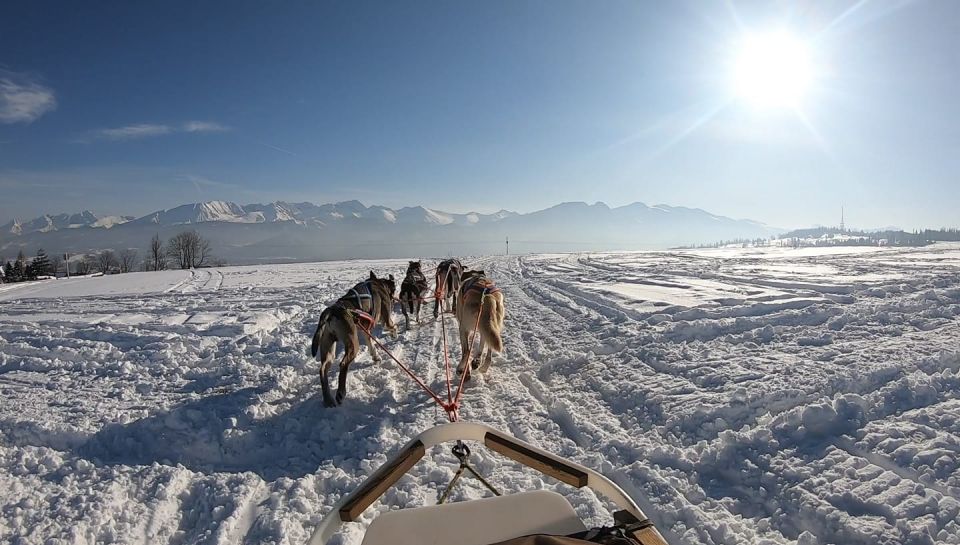 From Krakow: Dogsled Ride in Tatra Mountain - Frequently Asked Questions