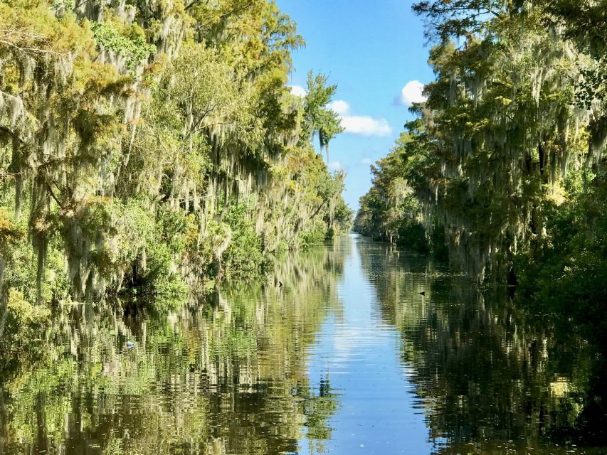 From Lafitte: Swamp Tours South of New Orleans by Airboat - Frequently Asked Questions