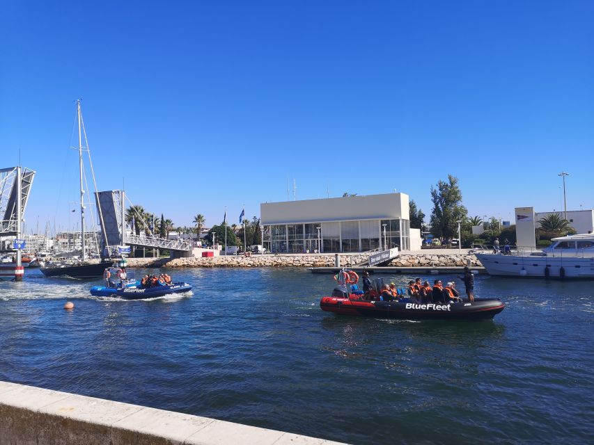 From Lagos: Dolphin Watching Boat Trip - Frequently Asked Questions