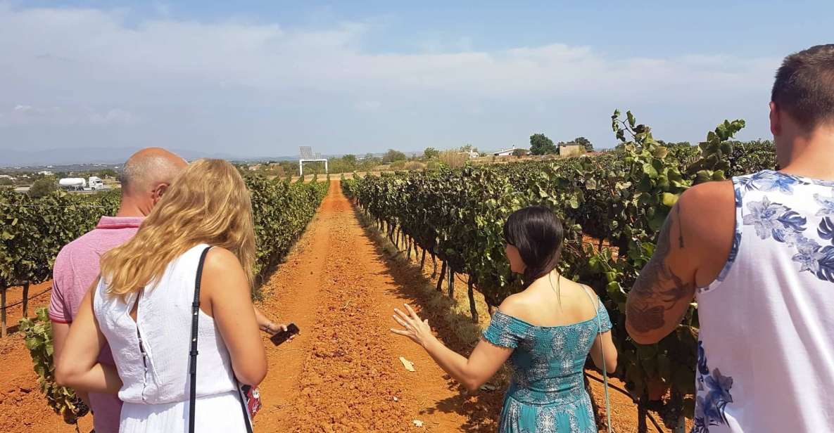 From Lagos: Private Algarve Wineries Tour With Tastings - Frequently Asked Questions