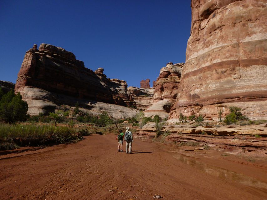 From Moab: 1-Day Horseshoe Canyon Exploration - Frequently Asked Questions