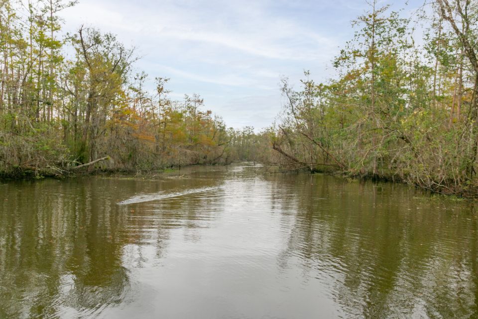 From New Orleans: Swamp Airboat, 2 Plantation Tours & Lunch - Frequently Asked Questions