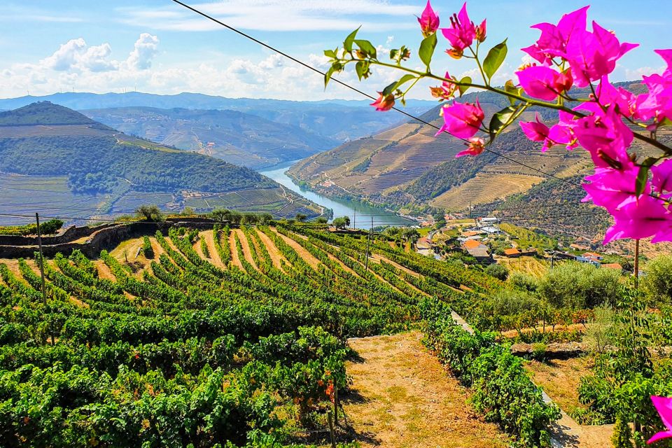 From Porto: Douro Valley Small Group Food and Wine Tour - Recap