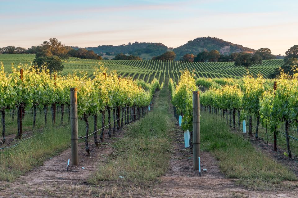 From San Francisco: Guided Napa & Sonoma Wine Country Tour - Frequently Asked Questions