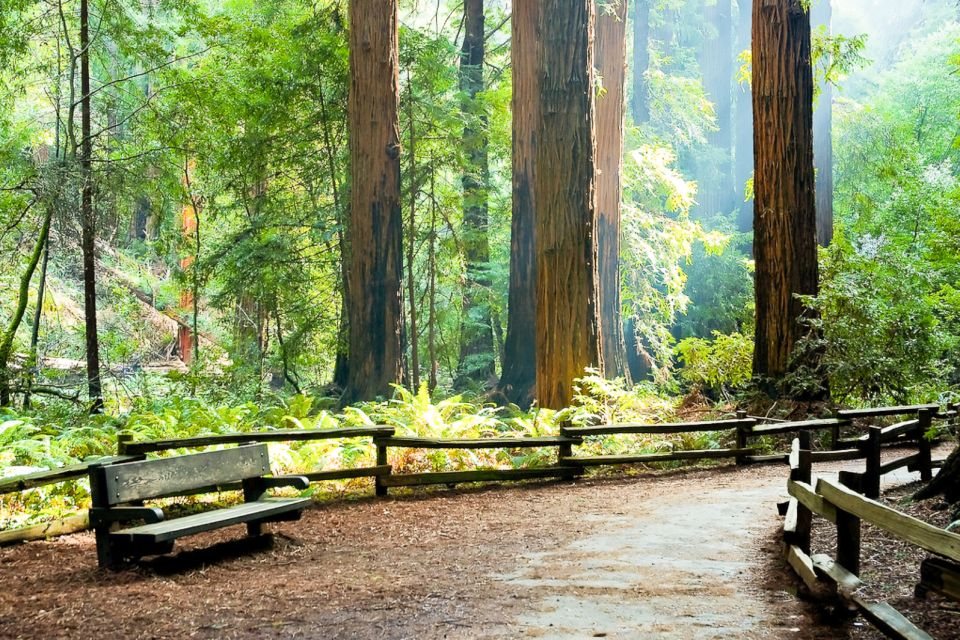 From San Francisco: Muir Woods Guided Bus Tour - Frequently Asked Questions