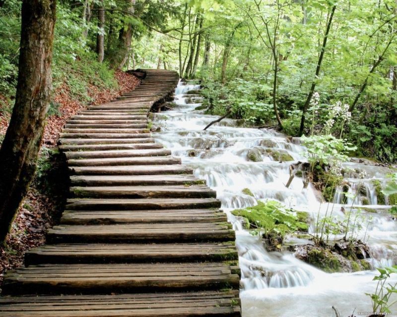 From Split or Trogir: Plitvice Lakes Guided Full-Day Tour - Frequently Asked Questions