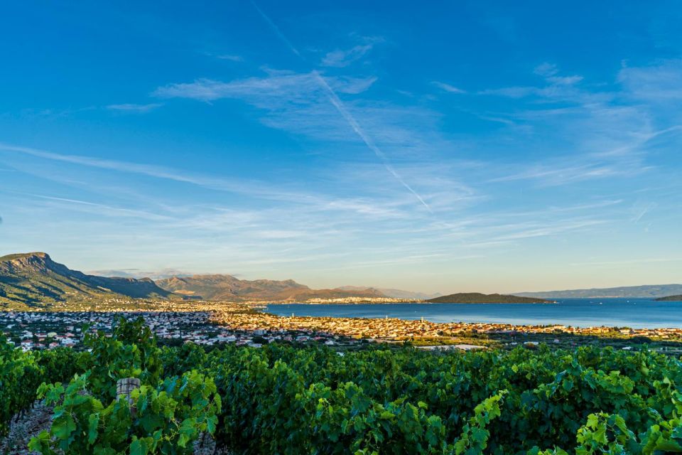 From Split: Vineyard Wine Tasting Experience With a Sea View - Frequently Asked Questions