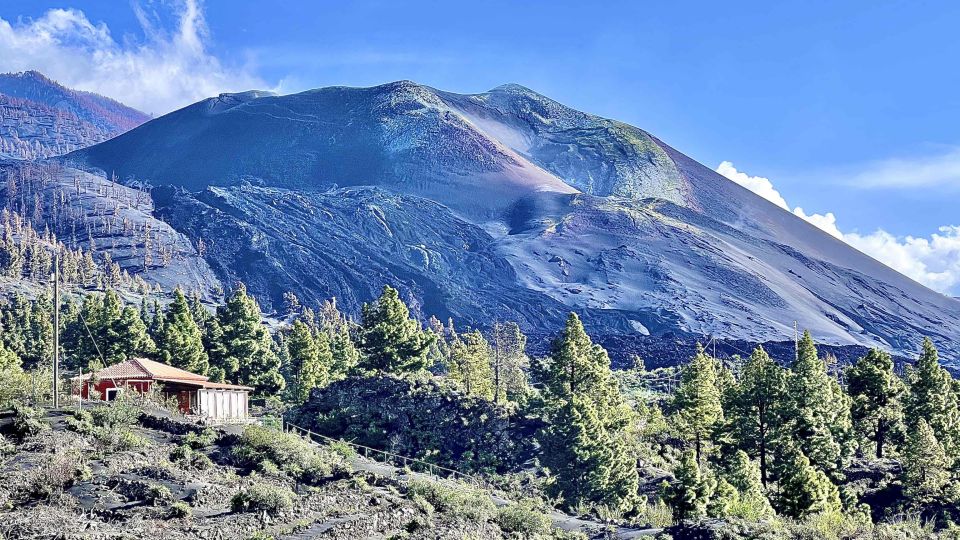 From Tenerife: Day Trip to La Palma Volcanic Landscapes - Things To Known