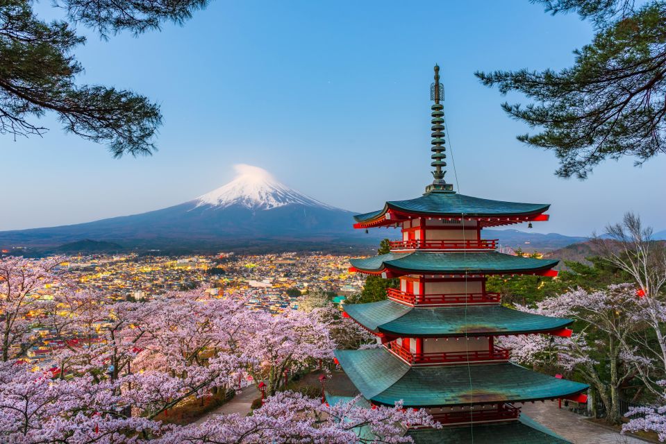 From Tokyo: Mt. Fuji or Hakone Private Sightseeing Day Trip - Frequently Asked Questions