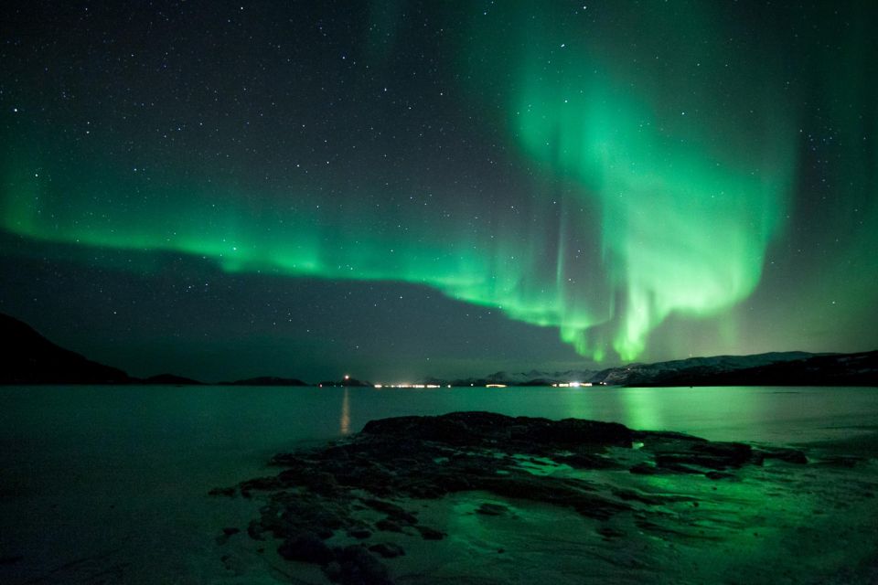 From Tromsø: Overnight Northern Lights & Whale Watching Tour - Frequently Asked Questions