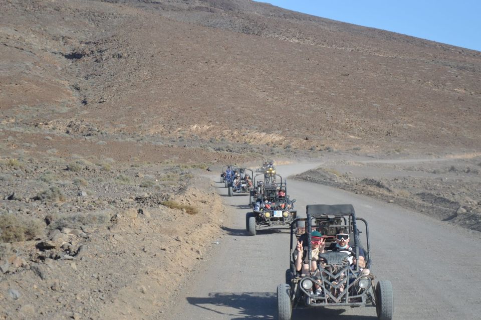 Fuerteventura: Jandía Natural Park & The Puertito Buggy Tour - Things To Known