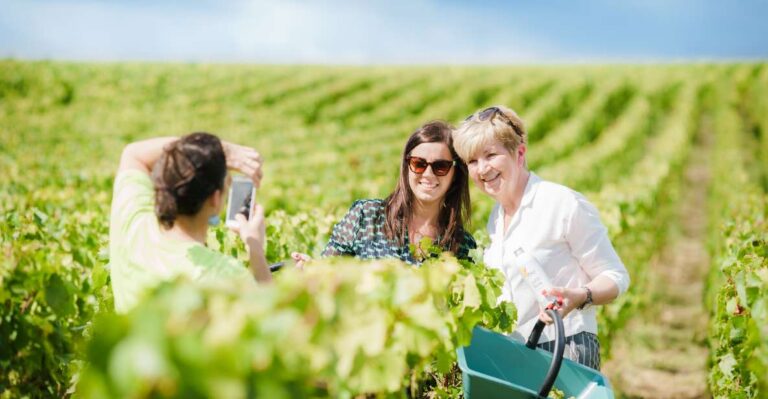 Full Day Pommery Small Group Tour Tour Duration And Cancellation Policy