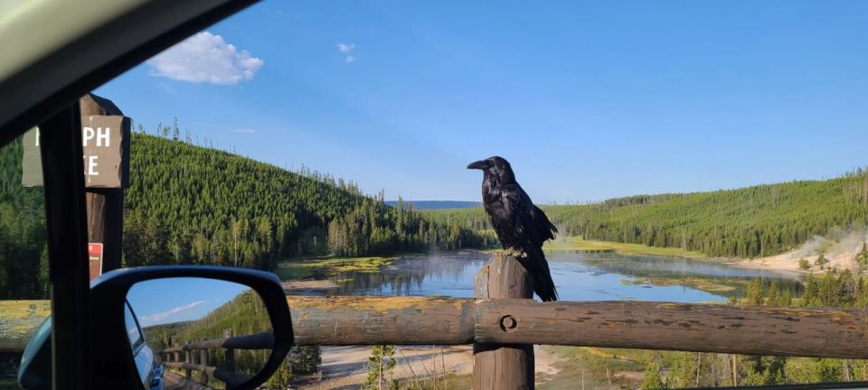 Gardiner: Yellowstone National Park Wildlife Guided Tour - Frequently Asked Questions