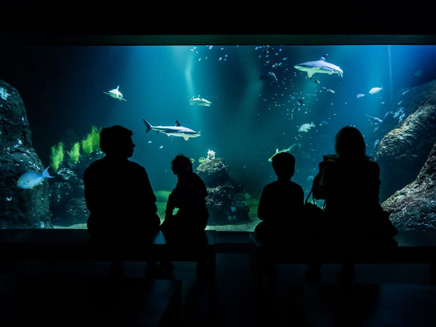 Gothenburg: Universeum Entry Ticket - Frequently Asked Questions