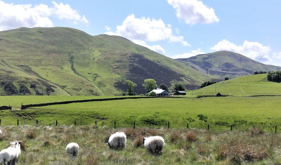 Hill & Nature Hike - Discover Real Edinburgh With a Local - Frequently Asked Questions