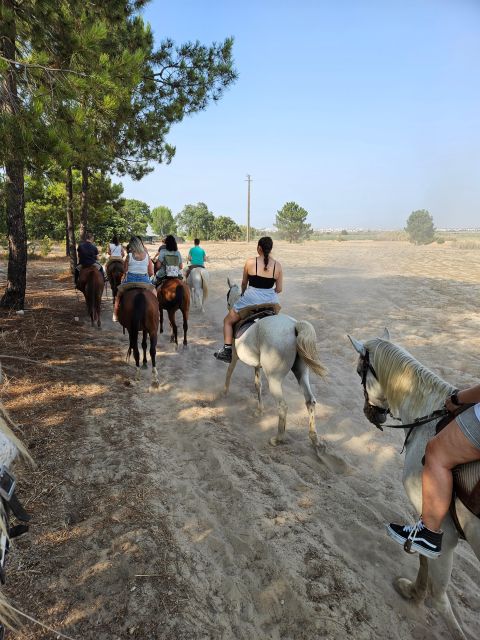 Horseback Riding on the Beach - Recap