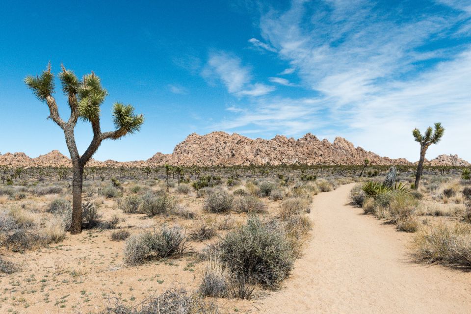 Joshua Tree National Park: Self-Driving Audio Tour - Frequently Asked Questions