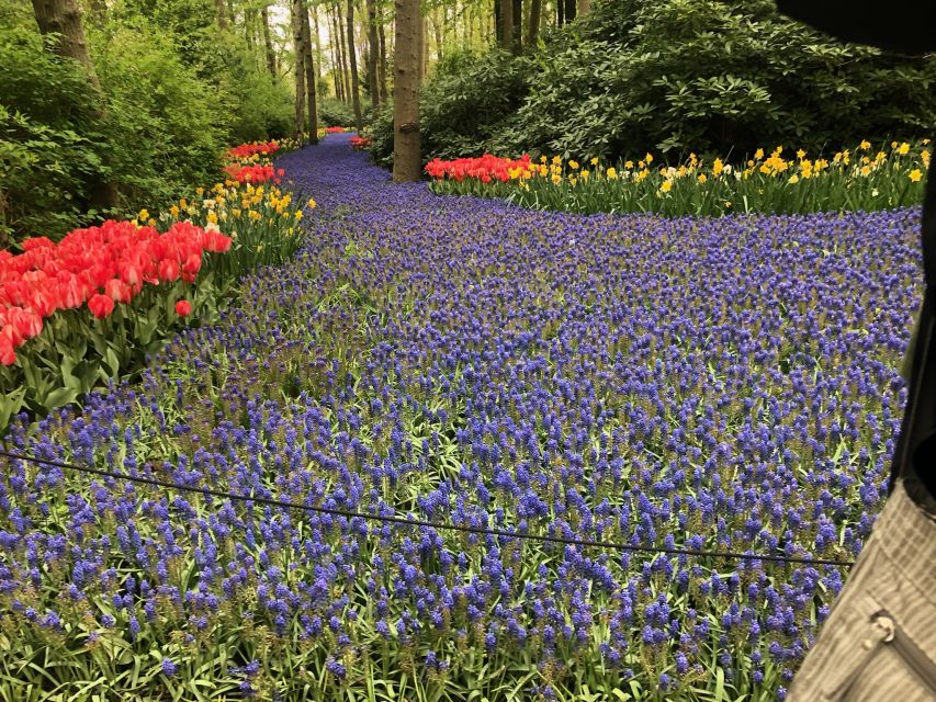 Keukenhof, Flower Fields & Delft City - Frequently Asked Questions