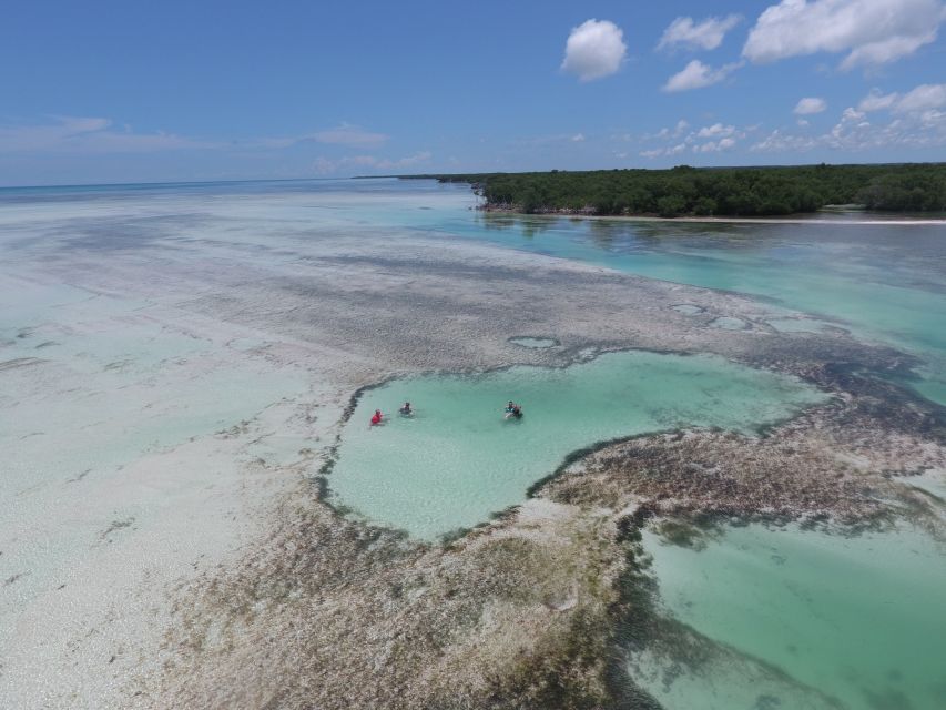 Key West: Eco Safari Sandbar Tour With Snorkeling - Frequently Asked Questions