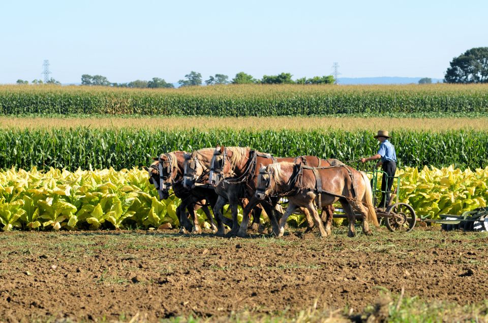 Lancaster County: Amish Farmlands, Museum Tour, Farm Visit - Frequently Asked Questions