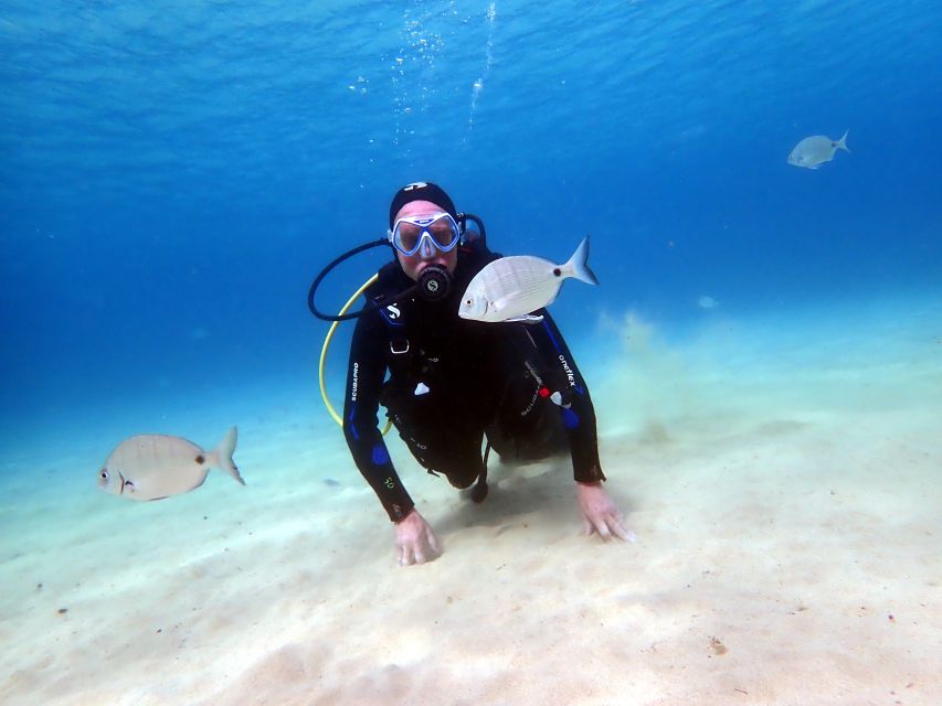 Lanzarote: Beginner Diving Course Costa Teguise (2 Dives) - Things To Known