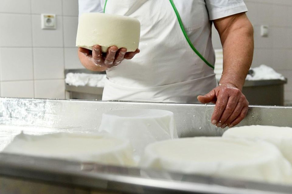 Lisbon: Azeitão Cheese Workshop With Wine & Food Tasting - Frequently Asked Questions