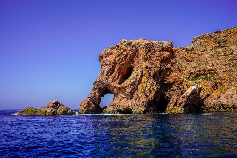 Lisbon: Private Full Day Tour to Berlengas Island - Frequently Asked Questions