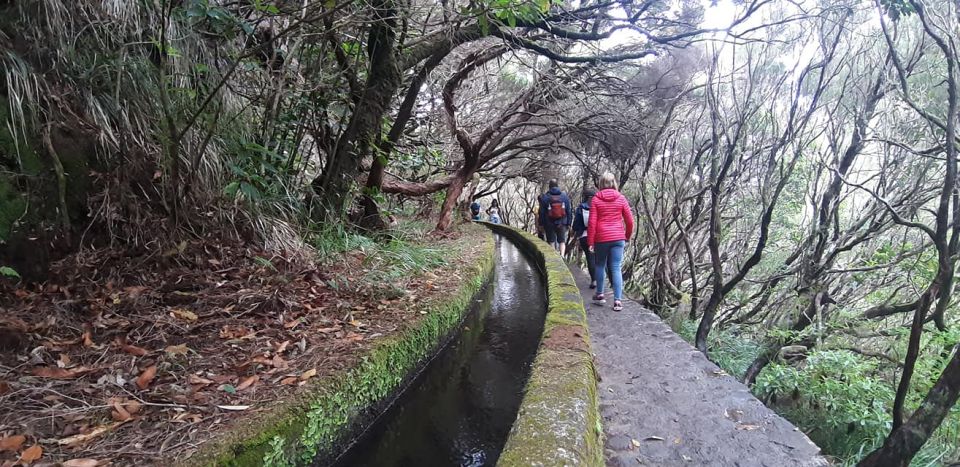 Madeira: 25 Fontes and Risco Levada Hike With Transfers - Frequently Asked Questions